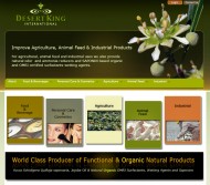 Visit Desert King International