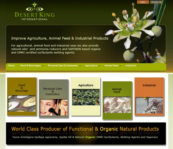 Visit Desert King International