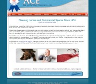 AceRugCleaners