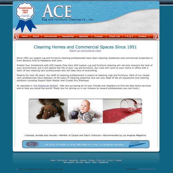 AceRugCleaners