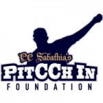 pitcchin_logo pitcchin_logo
