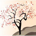 theornamental theornamental