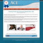 AceRugCleaners1-604x604