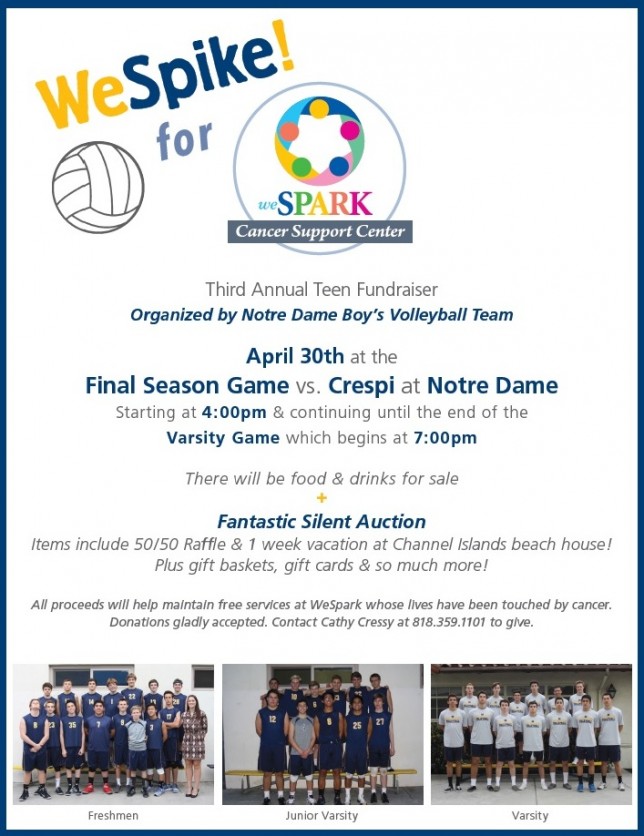 weSPIKE Flyer