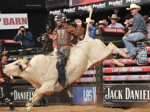 bull riding action