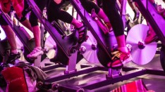 pedal
