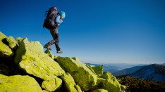 shutterstock_128493680